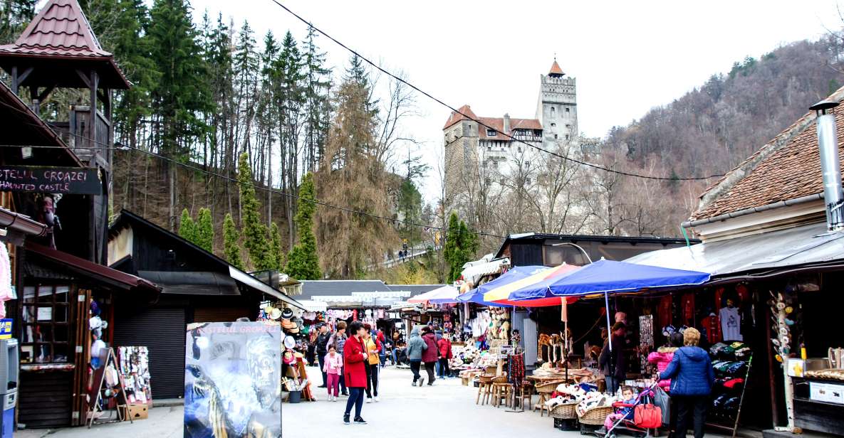 Bear Sanctuary & Bran Castle & Airport OTP From Brasov - Key Highlights of the Experience