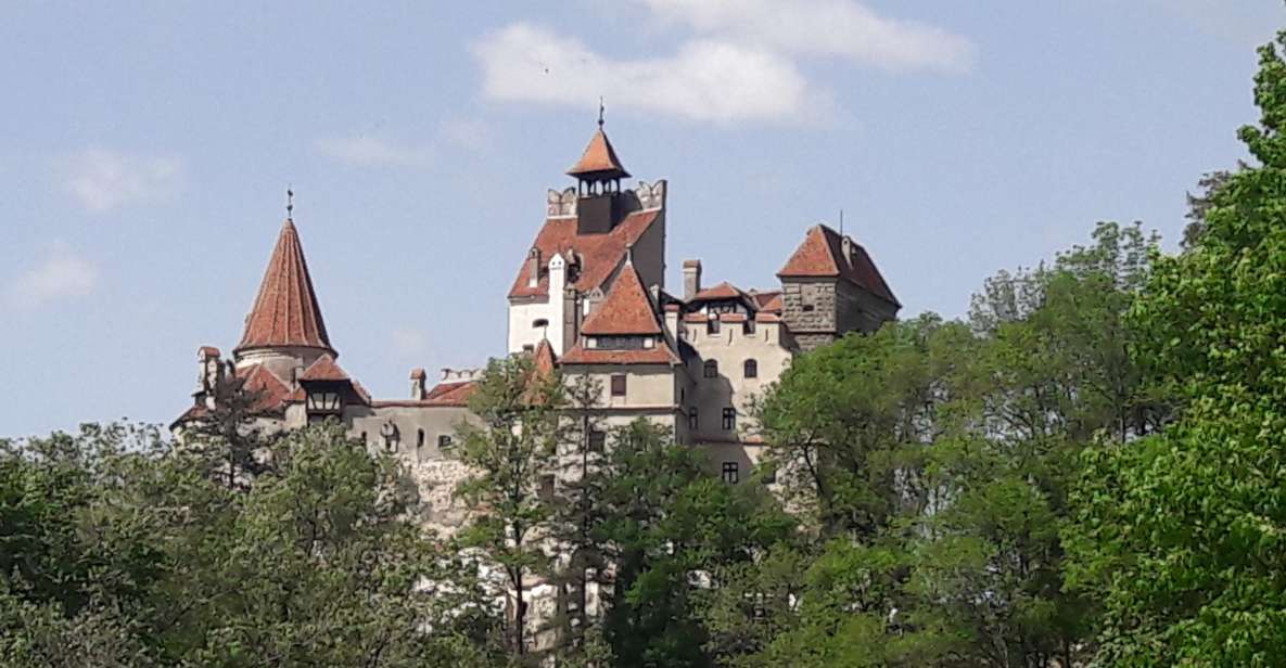 Bear Sanctuary-Bran Castle-Rasnov Fortress From Brasov - Activity Details