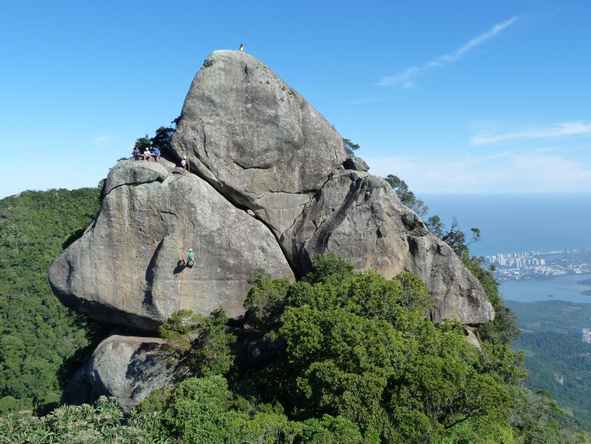 Bico Do Papagaio Guided Hiking Tour in the Tijuca Forest - Experience Highlights