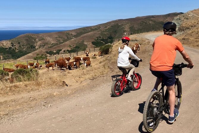 Big Surs Old Coast Road Ebike Tour