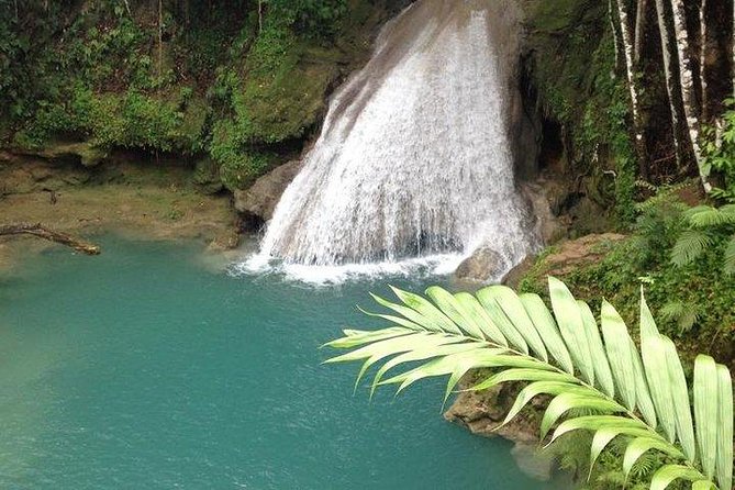 Blue Hole - Turtle Park From Ocho Rios - Tour Highlights