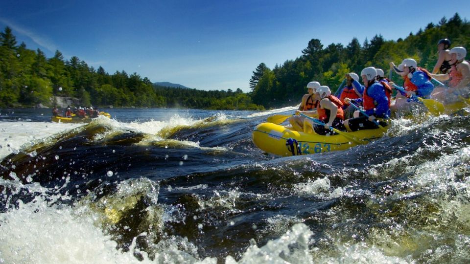 Brasov: Wild Water Rafting Day Trip - Trip Overview