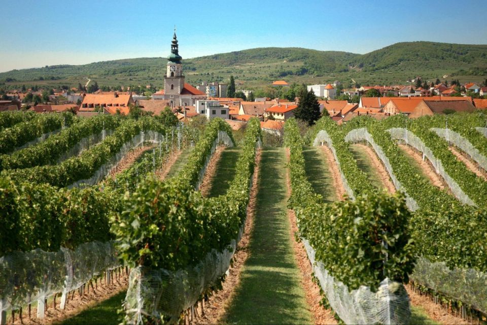 Bratislava: 6-Hour Carpathian Wine Tour and Tasting - Tour Experience