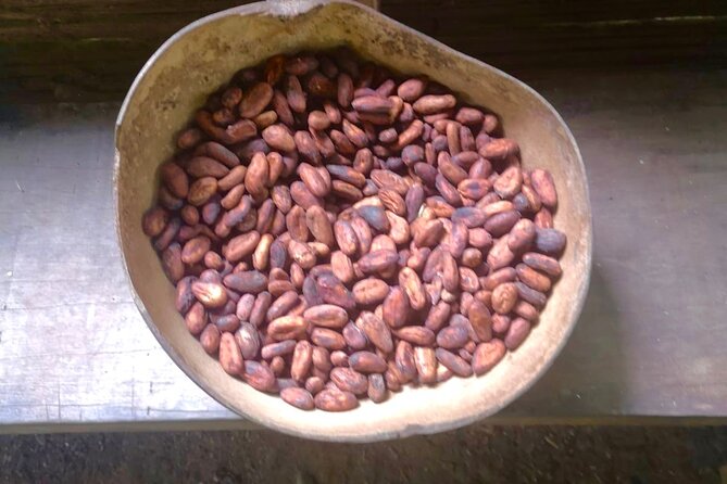 BriBri Village: Chocolate Tour & Waterfalls Adventure - Background Information