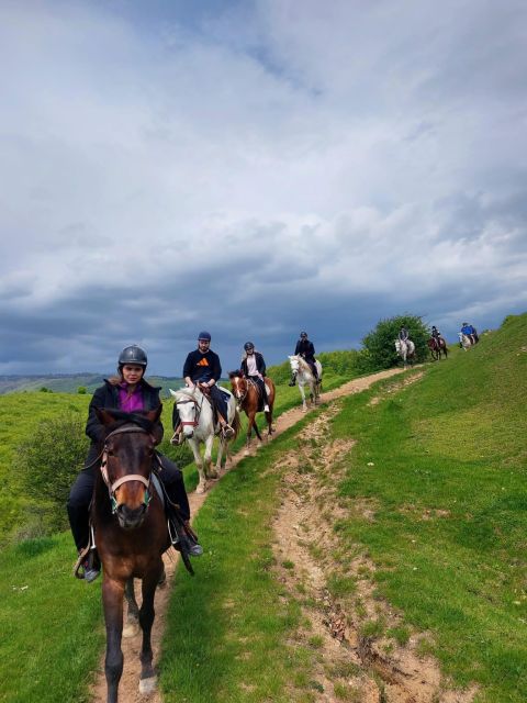 Bucharest: Horseback In the Nature and Traditional Lunch - Meeting Schedule