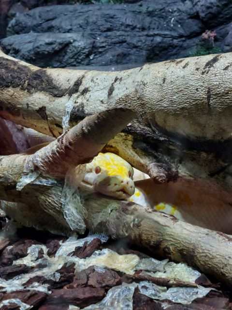 Bucharest: Reptiland Bucharest Entry Ticket - Experience Highlights