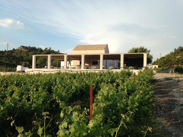 Butterflies Valley & Wine Tasting Experience Private Tour - Tour Details