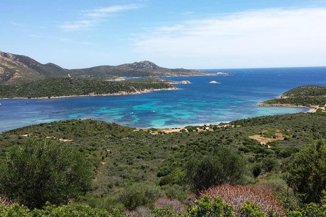 Cagliari: Full-Day Fishing Tourism Experience From Teulada - Overview
