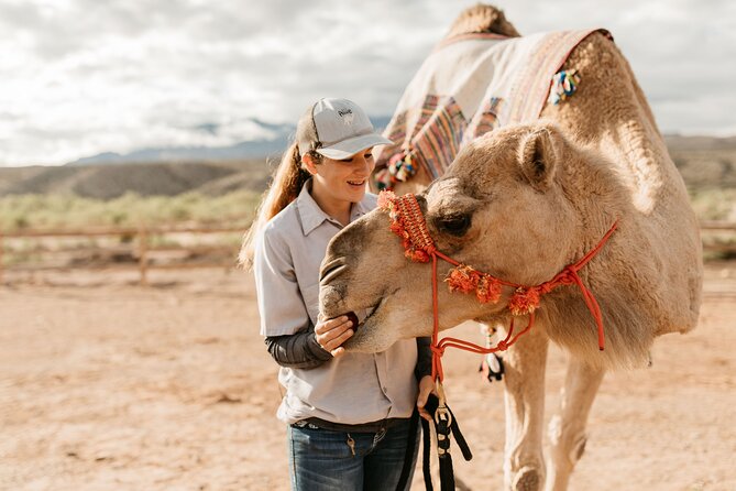 Camel Safari - Camel Ride and Zoo Tour - Flexible Cancellation Policy