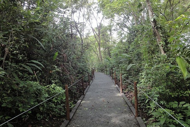 Carara National Park and Crocodile River Cruise - Good To Know