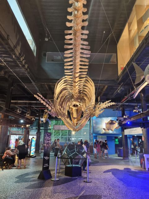 Cariocando at AquaRio & Olympic's Boulevard - Highlights of the Tour