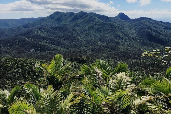 Casual One Puerto Rico: El Yunque Rainforest, Waterslide, Beach, Dine, and Shop - Reviews