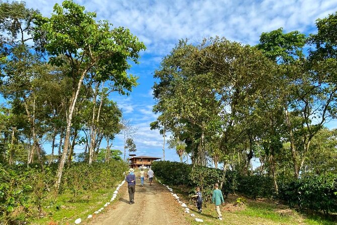Chocolate & Coffee Farm Cruiseship Tour in Manta - Tour Highlights