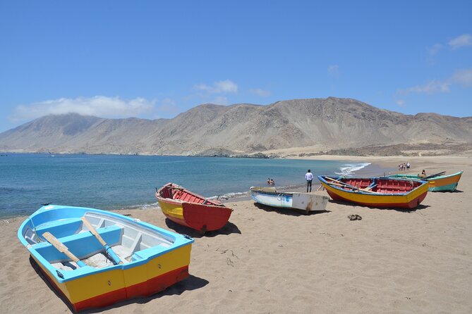 Coast and Atacama Desert English Bay and Sugar Loaf From La Serena - Cancellation Policy