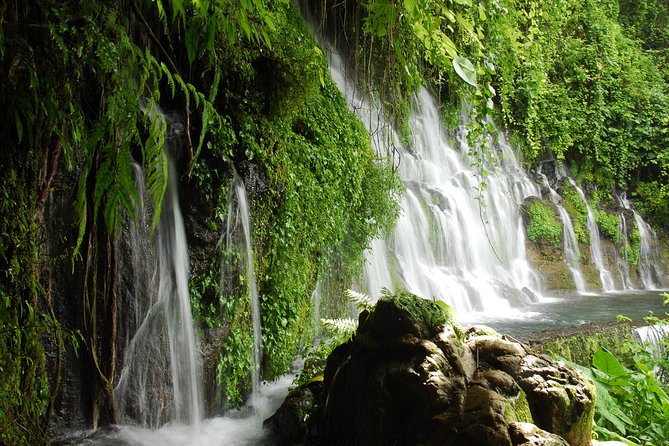 Coffee Country and Ruta De Las Flores. a Day Full of Fun! - Tour Highlights