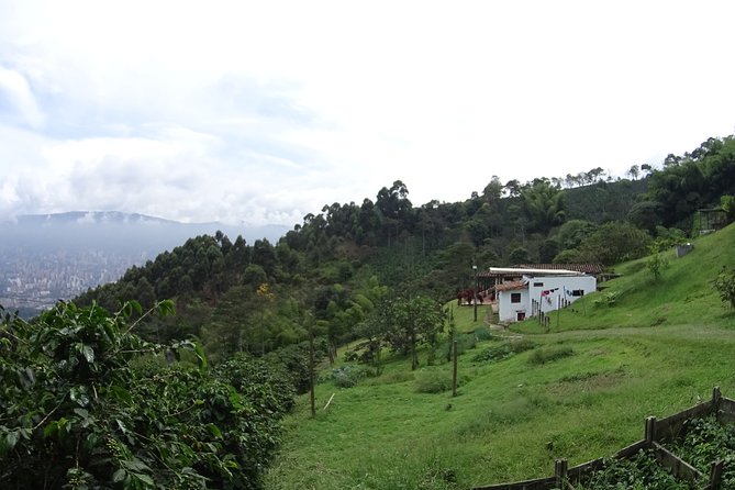 Coffee Experience - Coffee Tour in Medellin - Good To Know