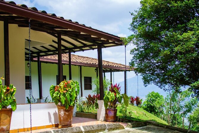 Coffee Farm Tour: Medellin's Top Half-Day Experience - Tour Overview