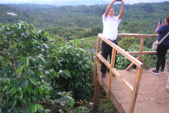 Coffee Tour and Thermal Waters - Tour Highlights