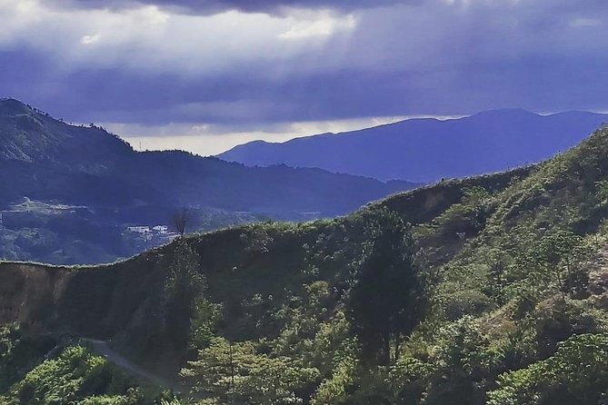 Comuna 8 and Coffee Tour - Good To Know