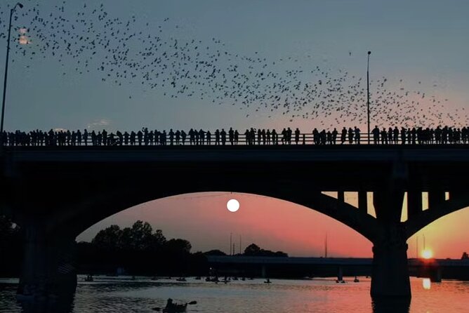 Congress Avenue Bat Bridge Paddleboard Tour With Austin Skyline - Good To Know