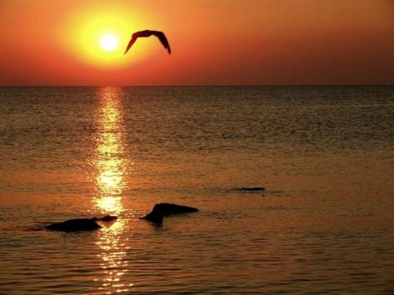 Constanta: Full Day Tour From Bucharest to the Black Sea - Good To Know