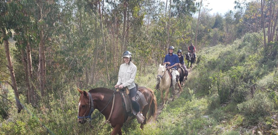 Cusco: Sacsayhuaman Guided Tour and 1-Hour Horseback Ride - Tour Highlights
