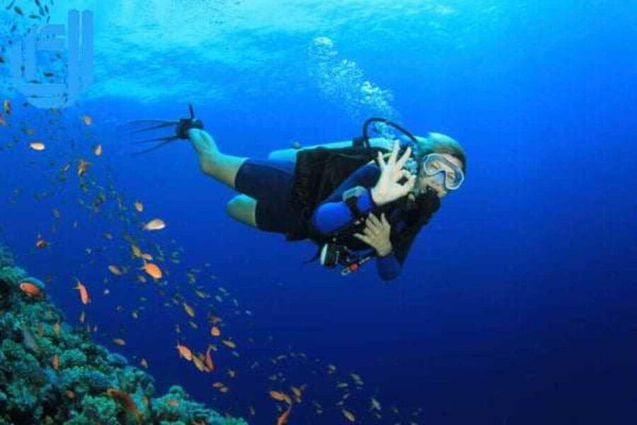 DA NANG-HOI AN:Cham Island Daily Tour-Snorkeling Experience