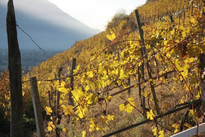 Day Trip From Milan: Valtellina and Wine Tasting - Private Tour - Booking and Confirmation