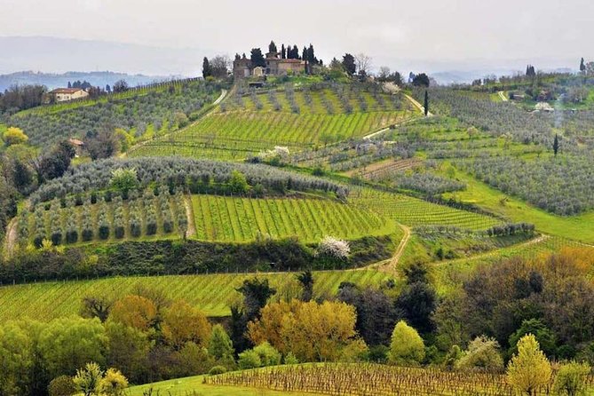 Daytrip From Civitavecchia Port to Tuscany Countryside - Trip Overview