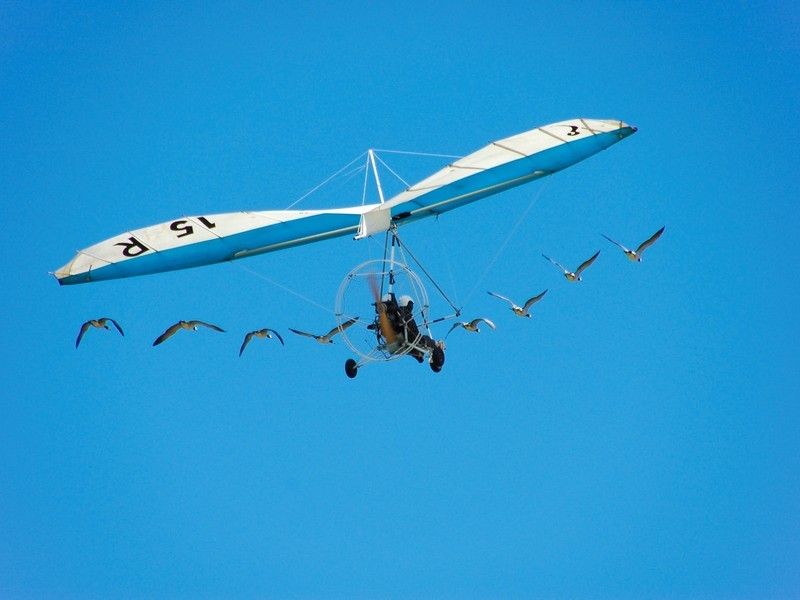 Deltaplane Flight in Bucharest - Flight Experience