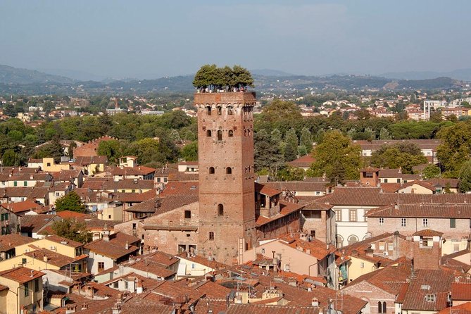 Direct Transfer From Your Hotel in LUCCA to Your Hotel in ROME - Drop-off and Pickup Details