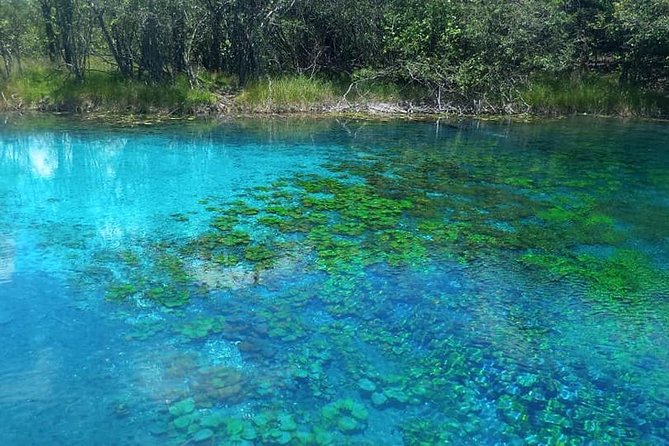 Discover "Crater Azul" & Its Crystal-Clear Waters On A Full-Day Tour From Flores - Reviews and Ratings