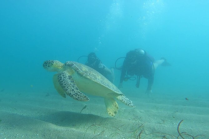 Discover Scuba Diving for Beginners in San Juan - Whats Included in the Package
