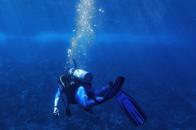 Discover Scuba Diving in Roatan at Upachaya With Private Transfer - Pricing Details