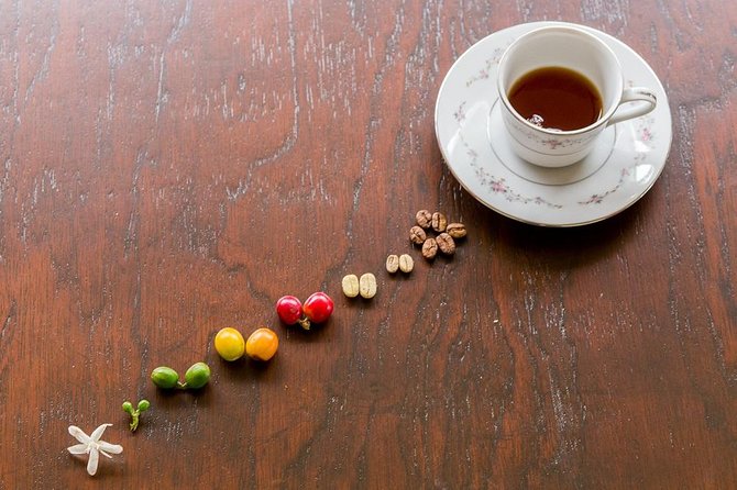 Discover the Essence of Coffee Region Tour - Tour Highlights