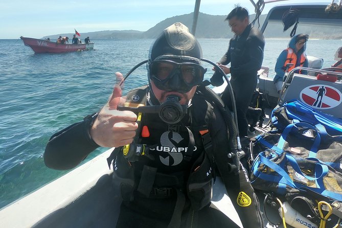 Diving Excursion in Quintay - Location and Accessibility
