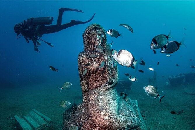 Diving Trip in Side With Underwater Museum Tour Diver Training - Reviews and Ratings Breakdown