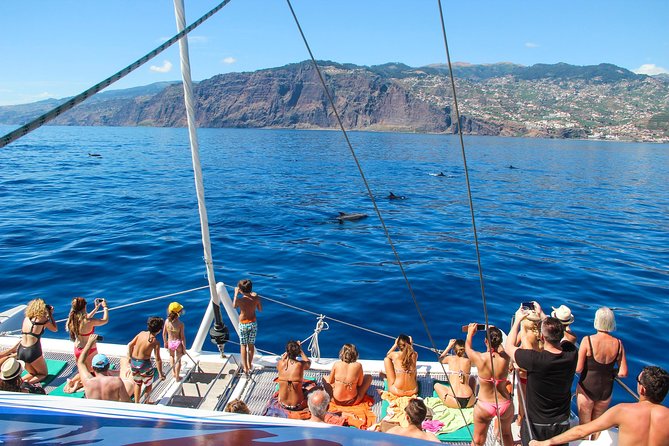 Dolphin and Whale Watching Catamaran Cruise From Funchal - Ocean Adventure: Dolphin and Whale Watching