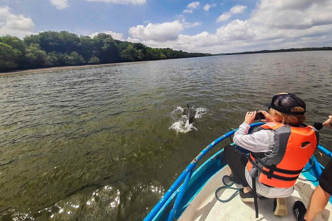 Dolphin Delight: Unforgettable Puerto El Morro Experience - Location and Review Details