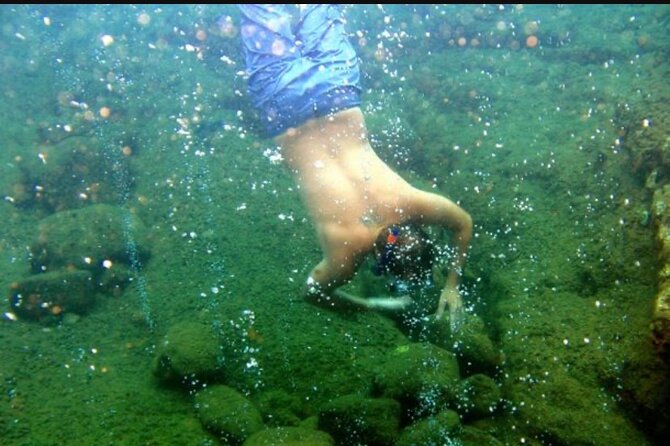 Dominica Champagne Snorkel and Beach Escape - (RT Shuttles) - Package Inclusions and Services