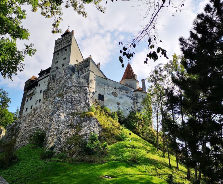 Dracula: 1-Day Private Castle Tour - Tour Highlights