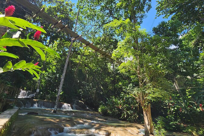 Dunn'S River Falls and Shopping From Montego Bay - Tour Highlights