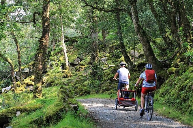 Ebiking Glenveagh National Park. Donegal. Self Guided. 3 Hours. - Ebike Rental Requirements and Restrictions