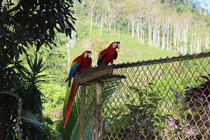 Eco Chontales: Engaging Private Forest Hike Experience - Booking Details