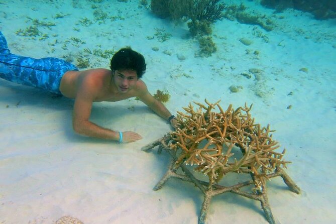 Educational Coral Gardening Snorkeling Adventure - Tour Highlights