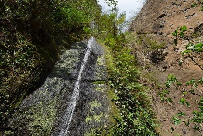 El Chocoyero El Brujo Nature Reserve Hike From Managua - Inclusions in the Tour Package