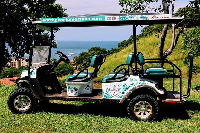 Electric Golf Cart Rental Sparks Eco-Friendly Fun - Rental Details