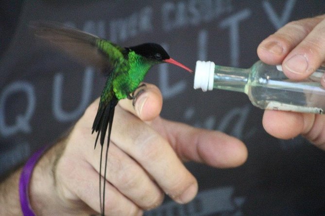 Enjoy Rockland Bird Sancutary - Sanctuarys Diverse Bird Species