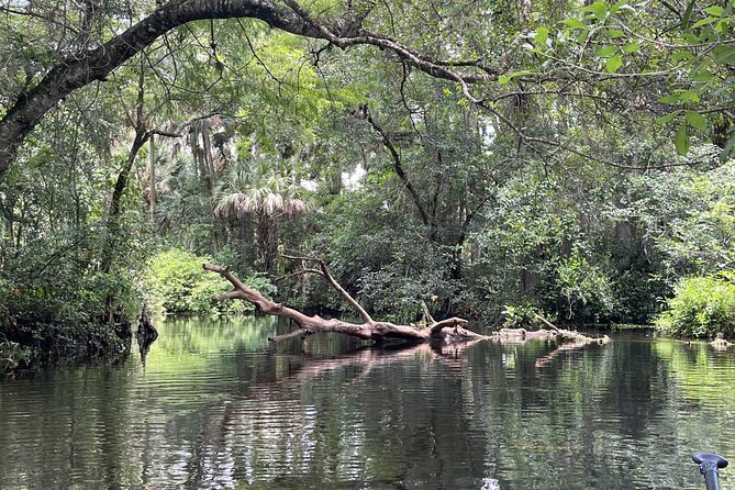 Epic Paddleboarding & Wildlife Adventure - Destination Overview