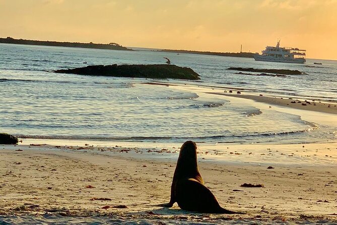 Exciting Isabela Island Adventure: Kayak and Snorkel - Tour Highlights